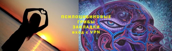 a pvp Алзамай